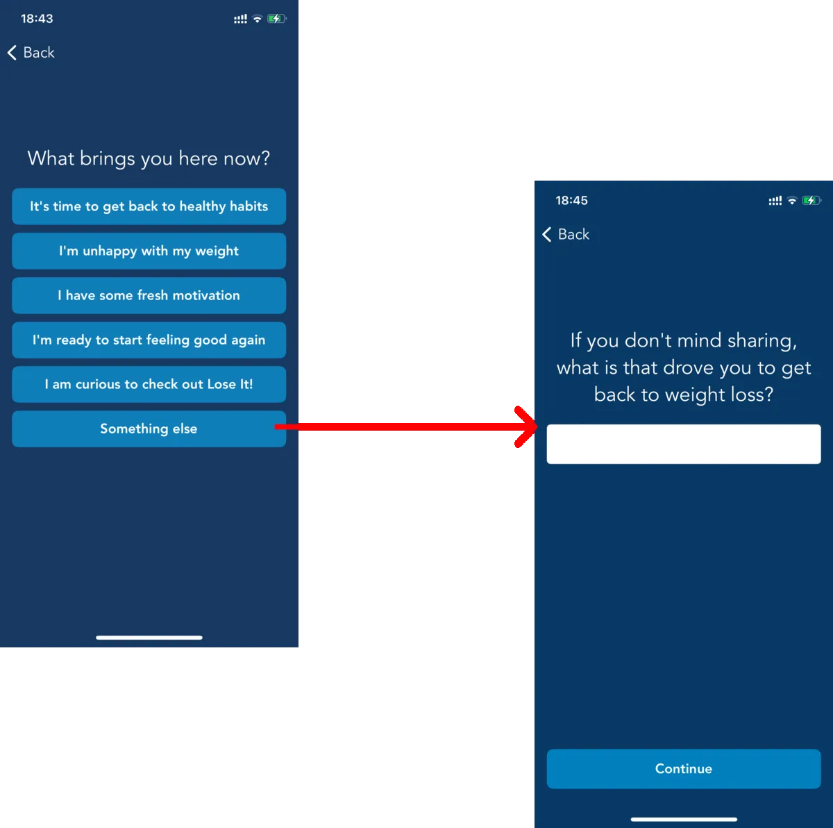 Lose It “What brings you here now?” screen: choosing “Something else” opens a free-text question about what drove the user back to weight loss