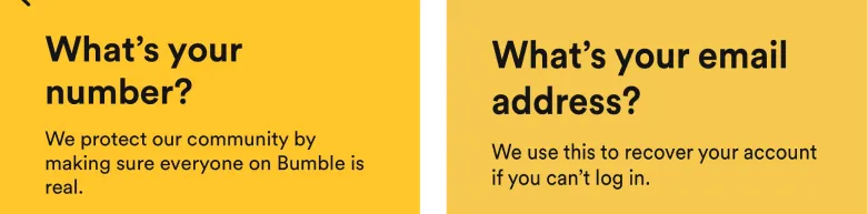 Bumble phone and email questions, each with its reason: making sure everyone is real and recovering the account